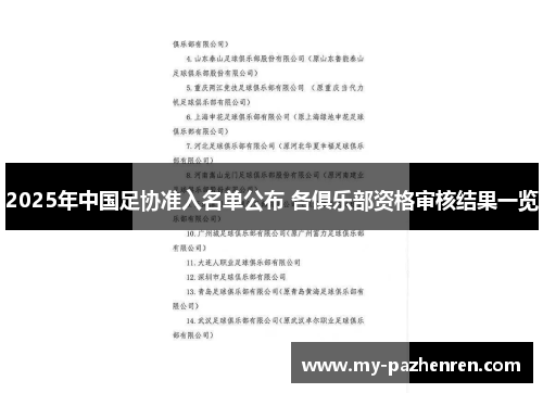 2025年中国足协准入名单公布 各俱乐部资格审核结果一览 2025年中国足协准入名单公布 各俱乐部资格审核结果一览