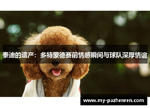泰迪的遗产:多特蒙德赛前情感瞬间与球队深厚情谊 泰迪的遗产:多特蒙德赛前情感瞬间与球队深厚情谊